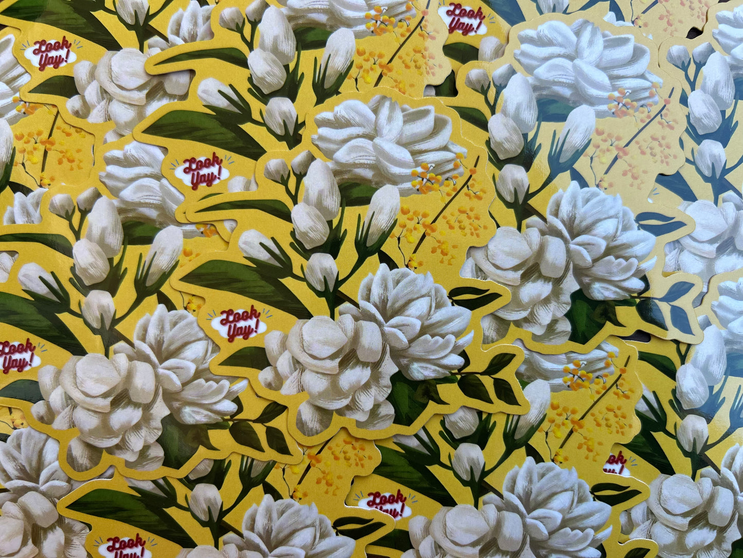 Jasmine Sticker